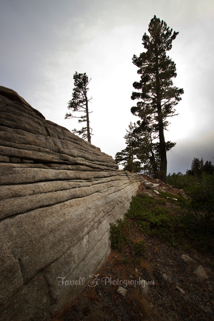 farrell photography pine rock formation high sierra highway 88