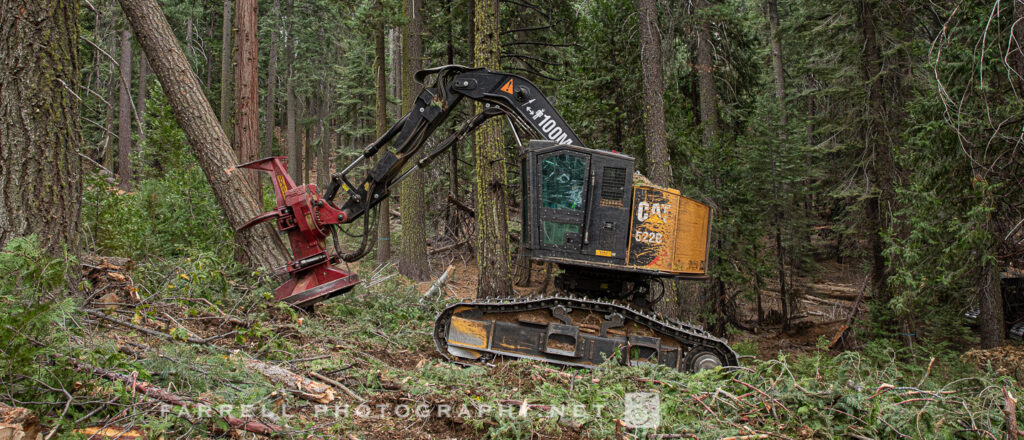J&R Logging, Logging Photo, Lumberjack, Sierra Logging, Logging Truck, Logger, SPI, Tree Harvest,
Fire Break