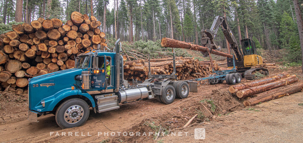 J&R Logging, Logging Photo, Lumberjack, Sierra Logging, Logging Truck, Logger, SPI, Tree Harvest,
Fire Break