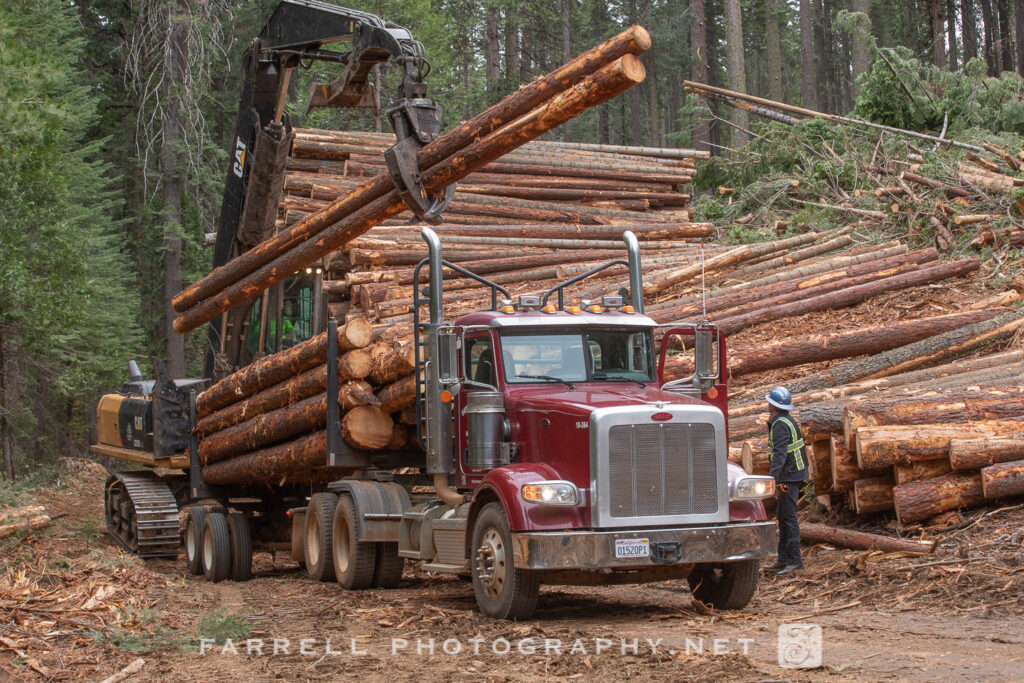 J&R Logging, Logging Photo, Lumberjack, Sierra Logging, Logging Truck, Logger, SPI, Tree Harvest,
Fire Break, California Lumber